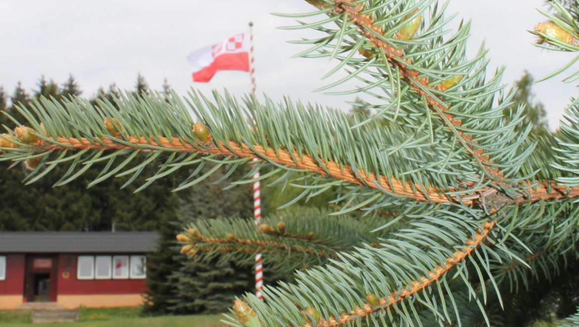 WIOSENNE I PODOBNO JUBILEUSZOWE